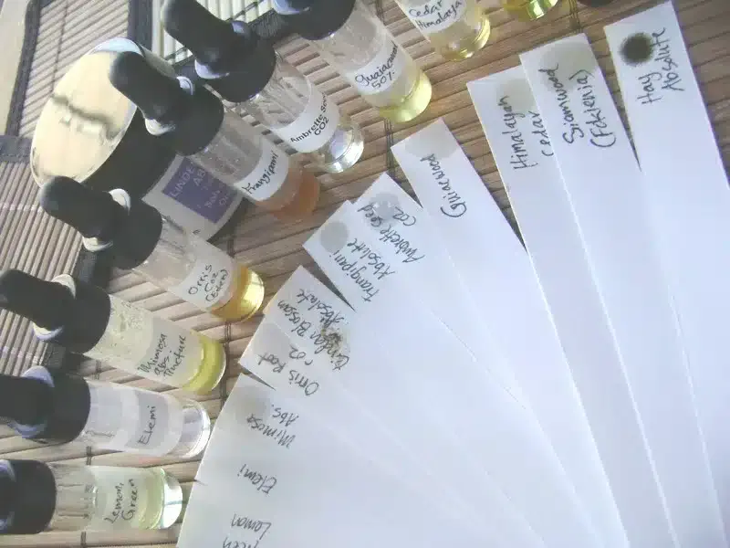 Blotter strips and a selection of perfume oils as used the process of creating niche fragrances.