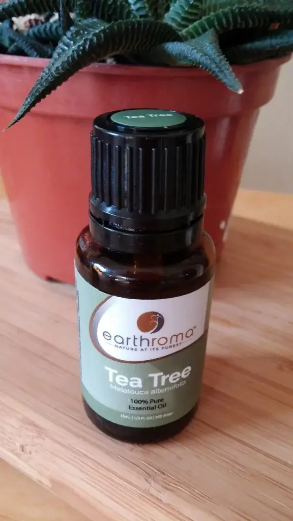 A bottle of tea tree oil