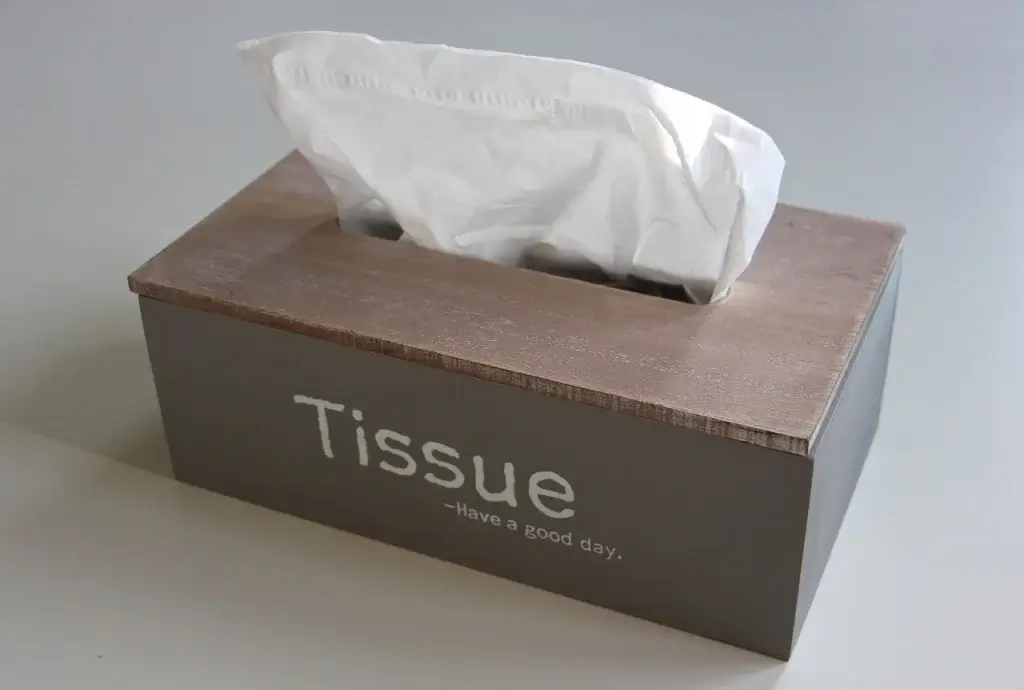 A box of tissues, which will help you know your skin type.