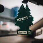 Little tree air fresheners hanging from a rear view mirror.